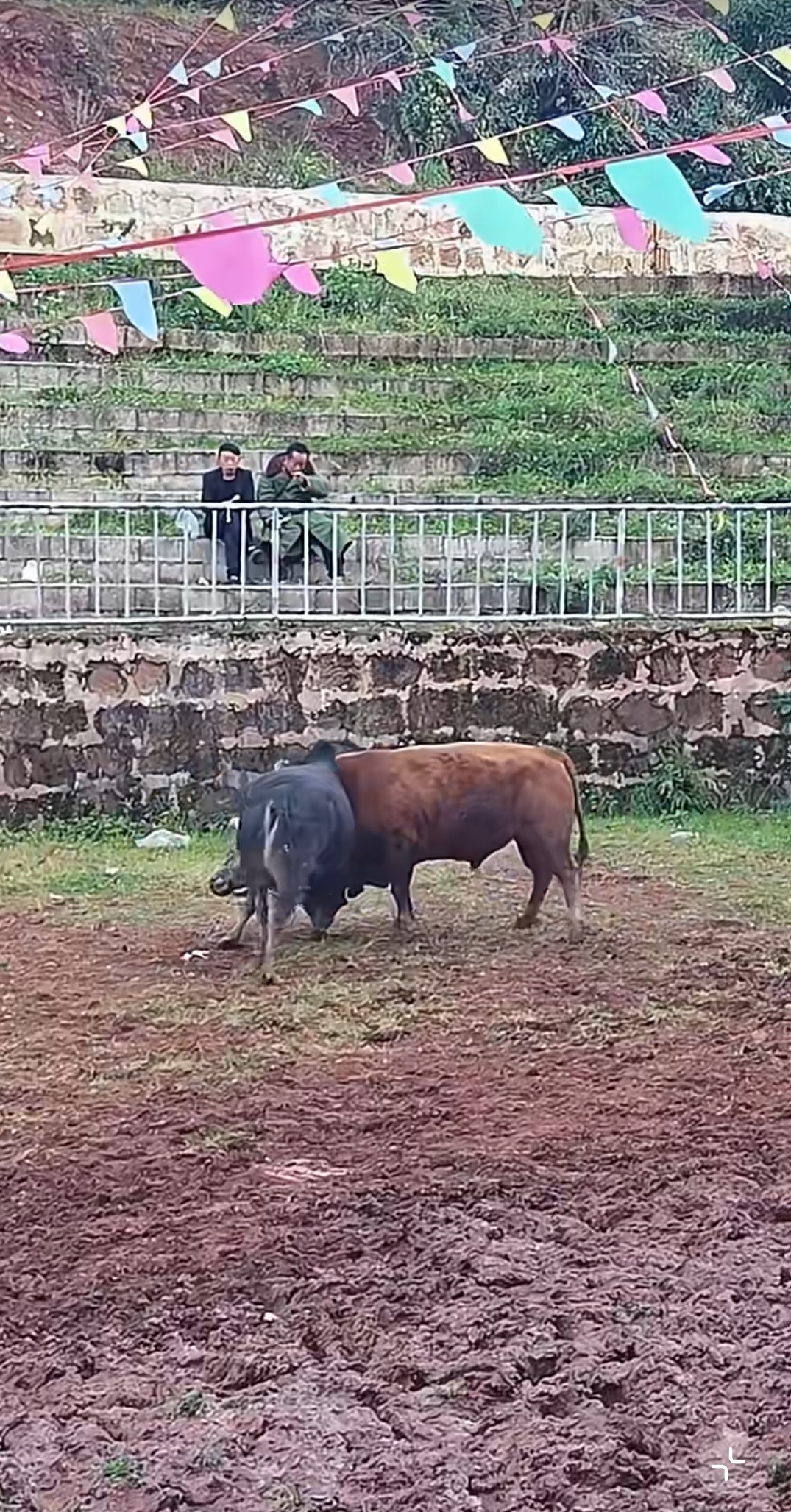 公牛客场失利,拉文三分球压哨绝杀未果 公牛客场失利,拉文三分球压哨绝杀未果