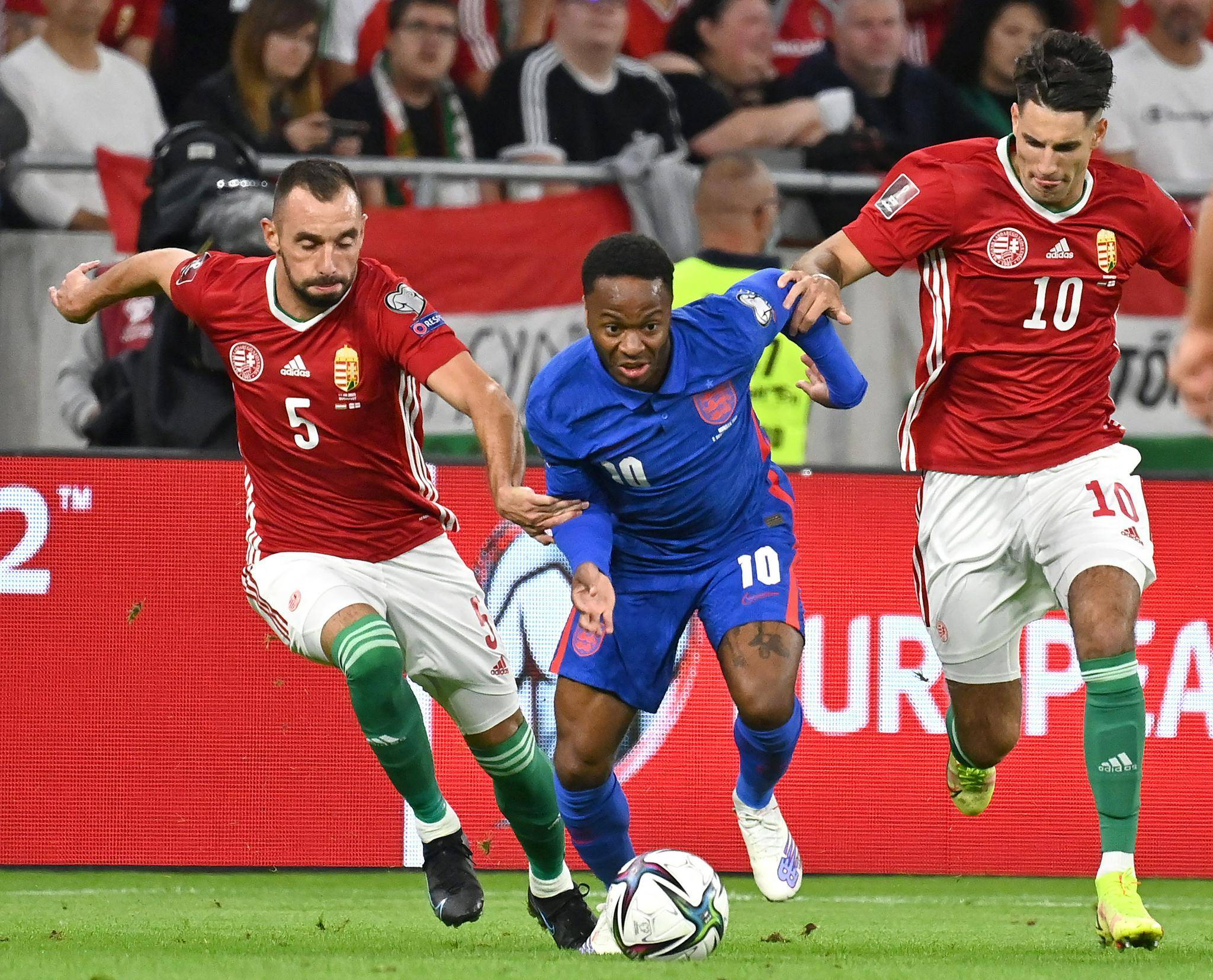 丹麦国家队在比赛中取得了一场胜利 丹麦国家队在比赛中取得了一场胜利