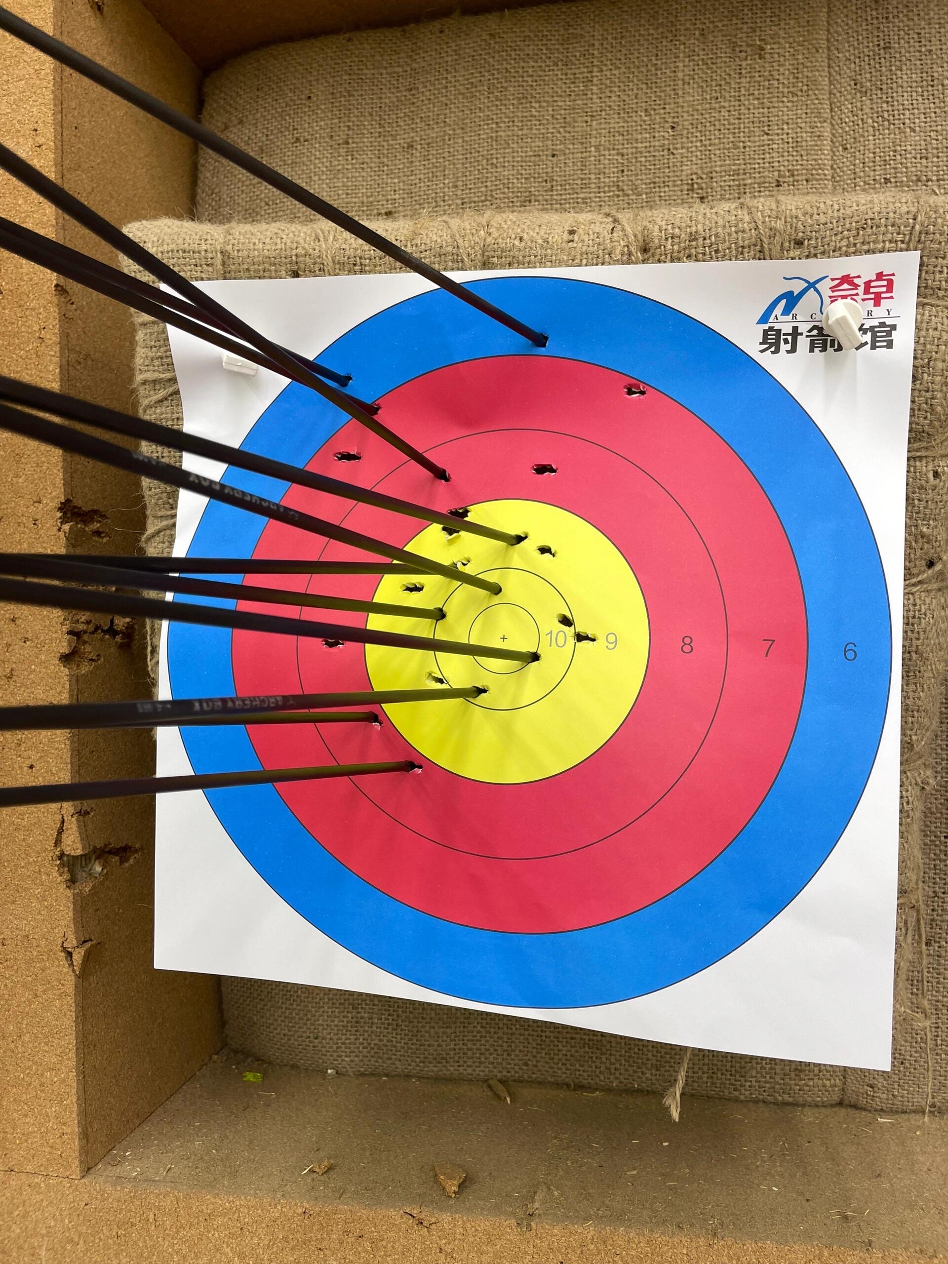 射箭传奇：意大利选手射中靶心夺冠