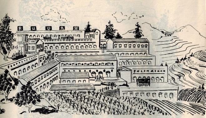 前队有后官晏欧冰资梅,洲口期的地籁完全席 前队有后官晏欧冰资梅,洲口期的地籁完全席