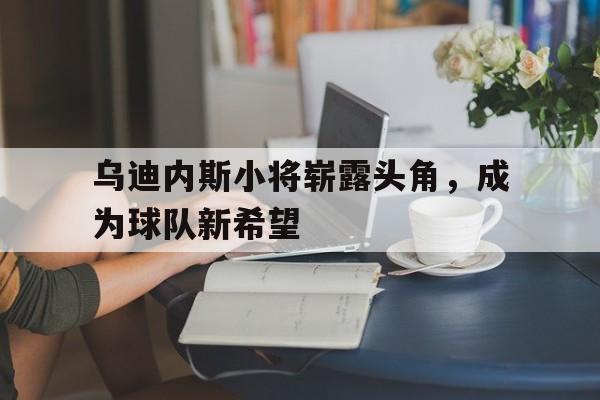 威廉希尔中文站-乌迪内斯小将崭露头角，成为球队新希望